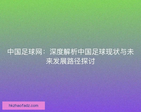 中国足球网：深度解析中国足球现状与未来发展路径探讨
